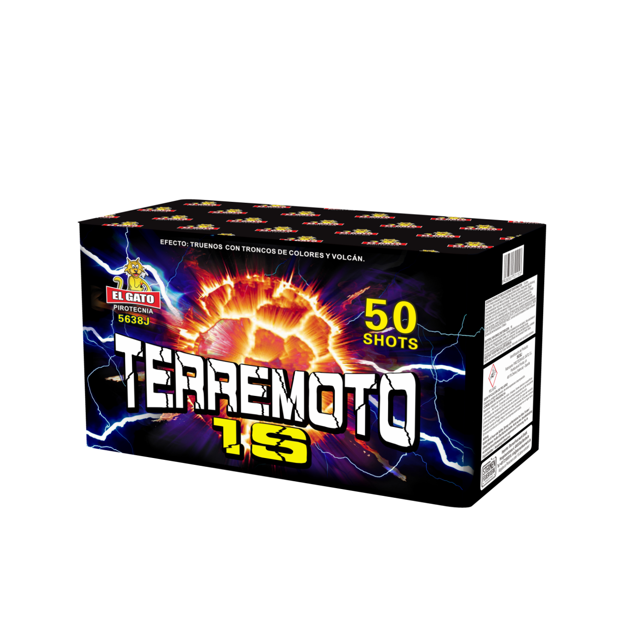 Terremoto 1S