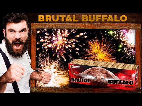 Brutal Buffalo