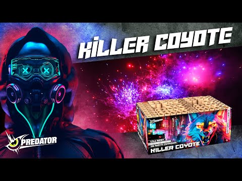 Killer Coyote